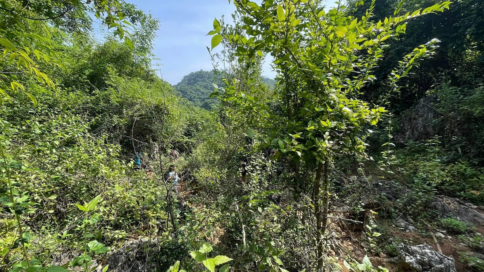 Enticeing Muong Khuong Bac Ha Trekking Adventure Kayaking in Halong Bay 13 Days